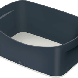 Škatla za shranjevanje leitz cosy siva 52640089