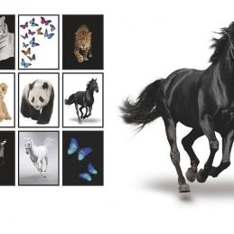 Zvezek a4 mp karo elisa živali 52-listni