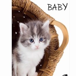 Zvezek a4 mp nizki karo elisa baby 52-listni – živali