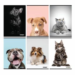 Zvezek a4 mp 1cm karo 54l street friends