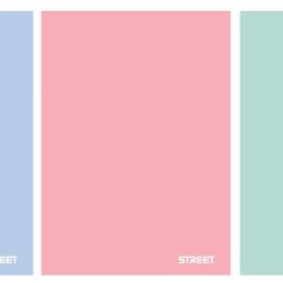 Zvezek a4 mp črtan street pastel 42l